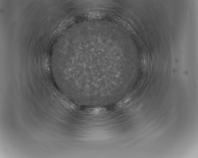 X0000076300663200610161555