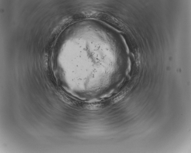 X0000076300664200610161555