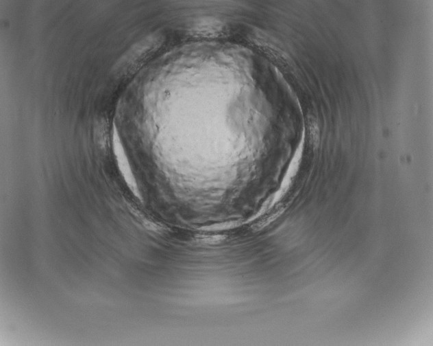 X0000076300665200610161555