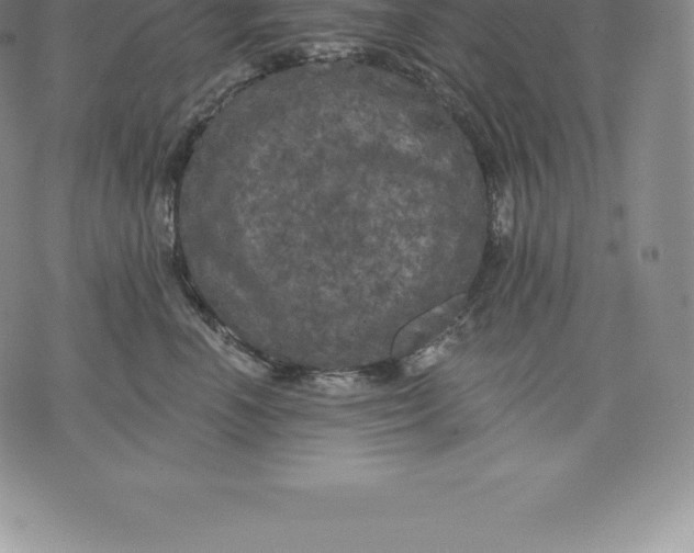 X0000076300666200610161555