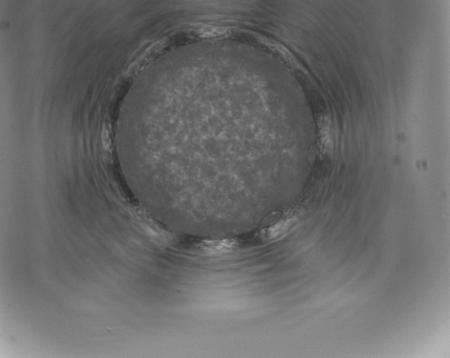 X0000076300667200610161555