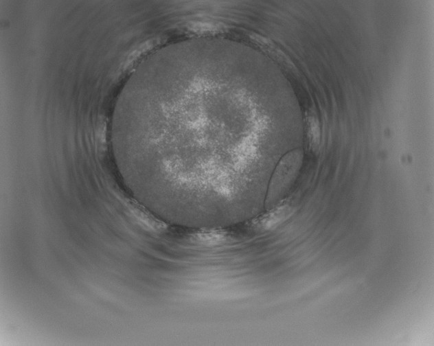 X0000076300668200610161555