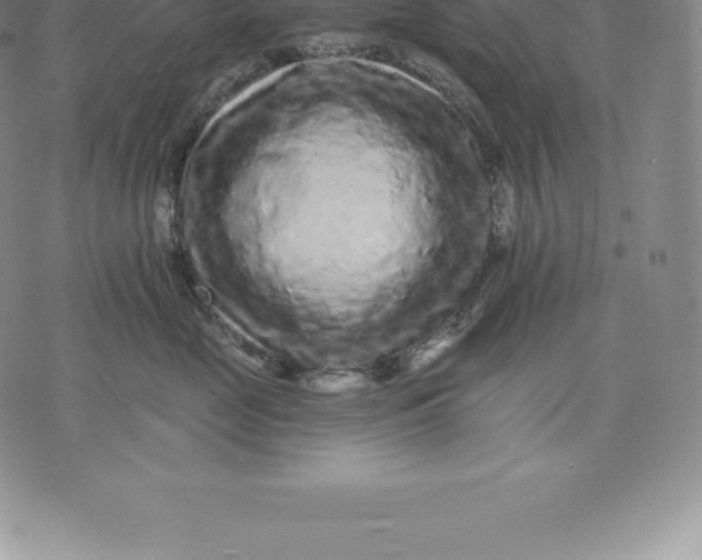 X0000076300669200610161555