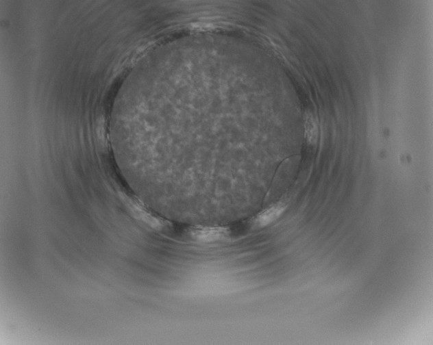 X0000076300670200610161555