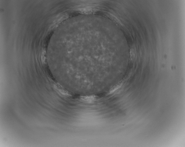 X0000076300671200610161555