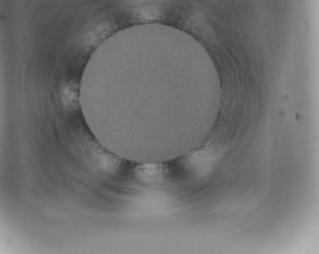 X0000076300672200610161555