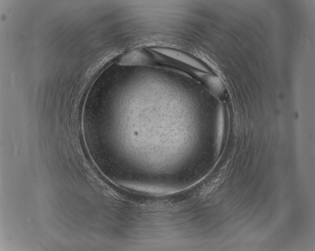 X0000076300673200610161554