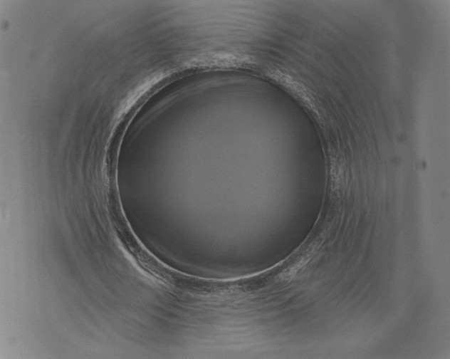 X0000076300674200610161554