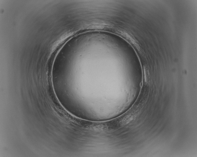 X0000076300675200610161554