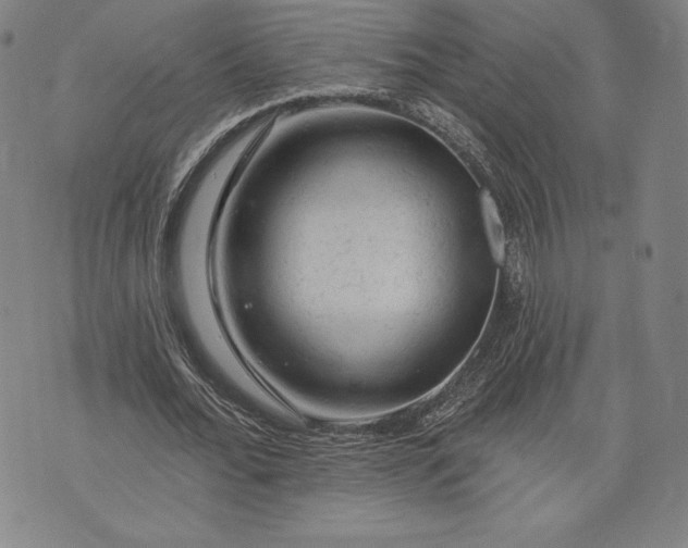 X0000076300676200610161554