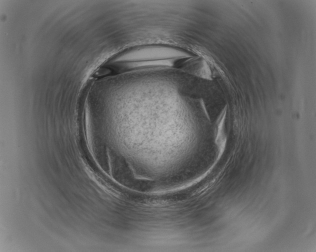 X0000076300677200610161554