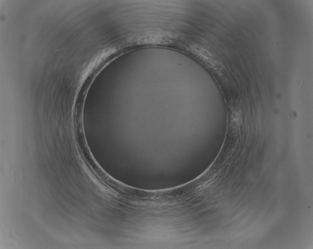 X0000076300678200610161554