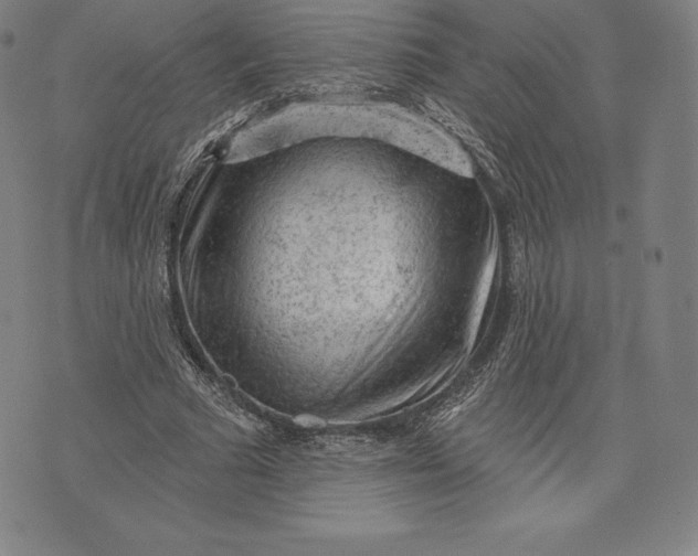 X0000076300681200610161554