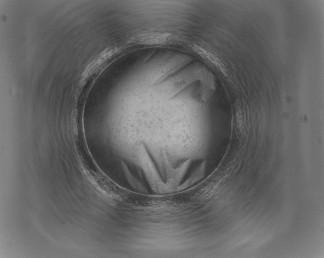 X0000076300682200610161554