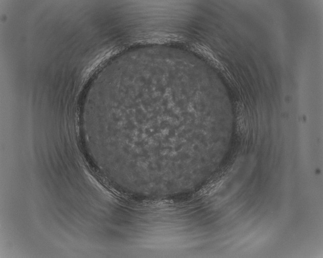 X0000076300683200610161554