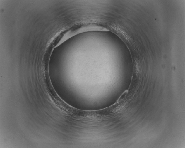 X0000076300684200610161554