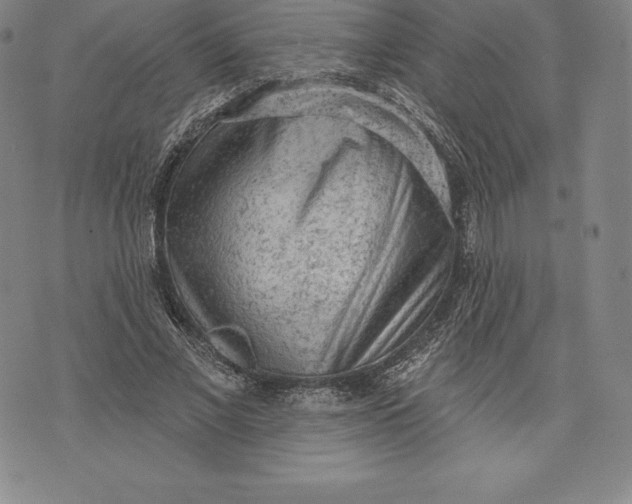 X0000076300685200610161554