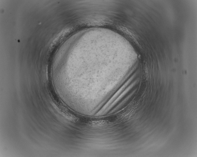 X0000076300686200610161554