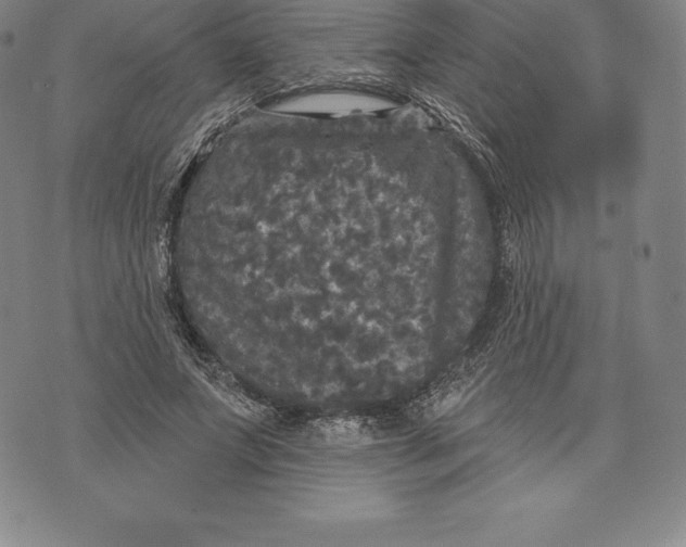 X0000076300687200610161554