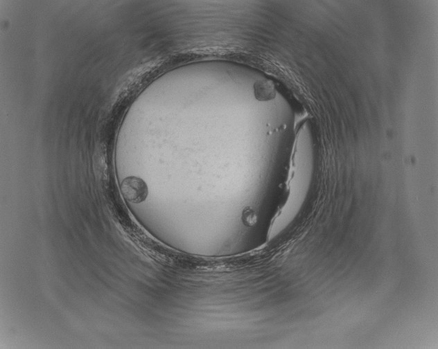 X0000076300688200610161554