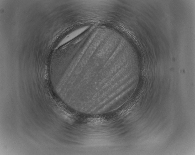 X0000076300689200610161554