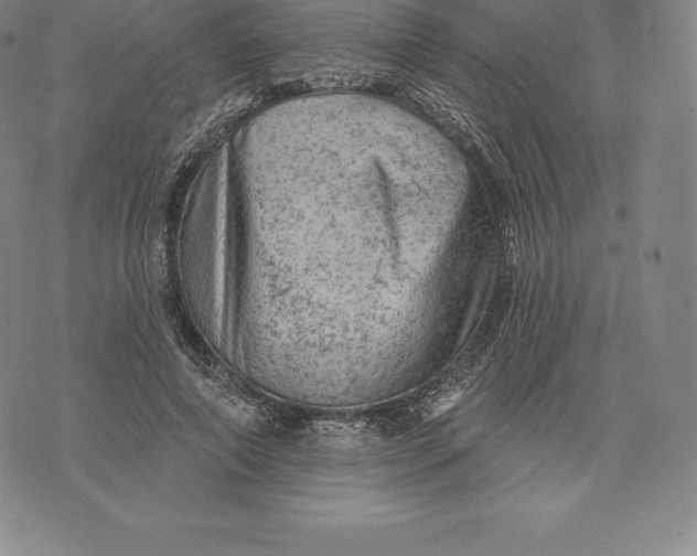 X0000076300690200610161554