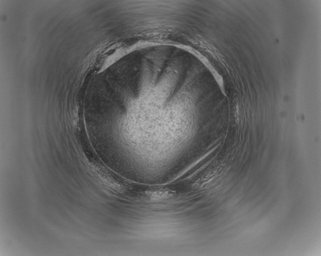 X0000076300693200610161554