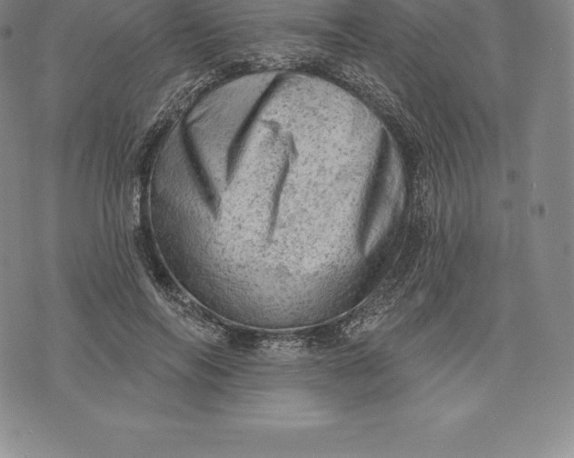 X0000076300694200610161554