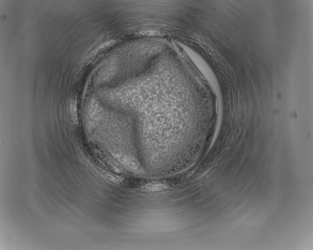 X0000076300696200610161554