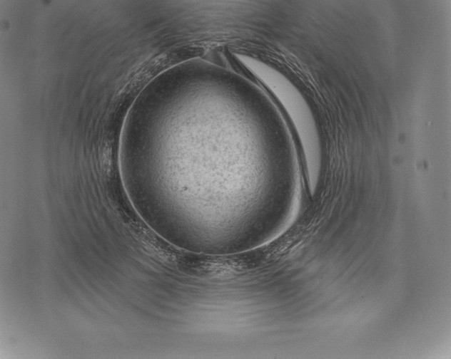 X0000076300697200610161554