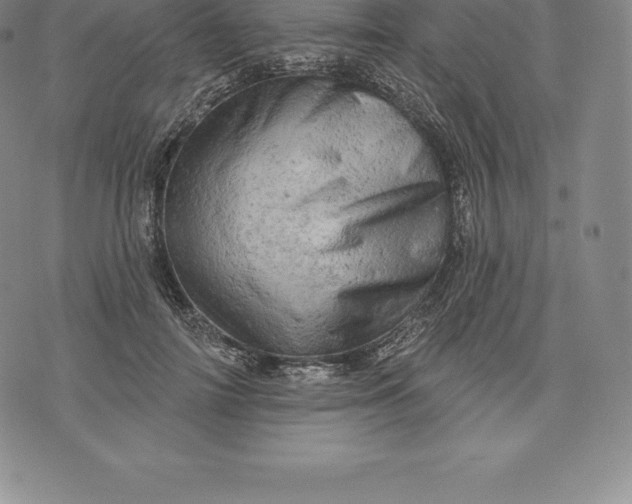 X0000076300698200610161554