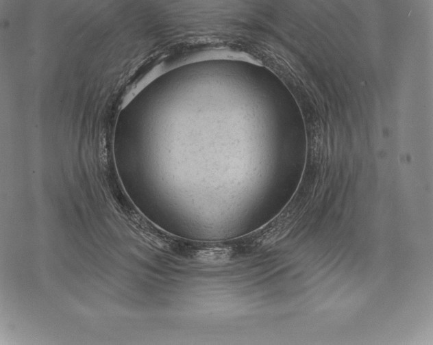 X0000076300700200610161554