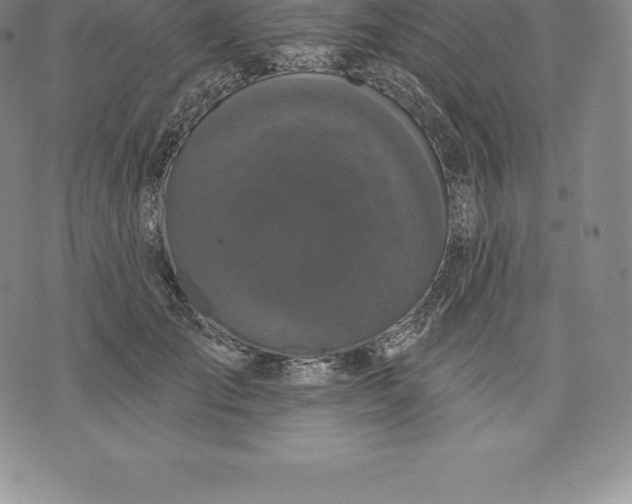 X0000076300701200610161554