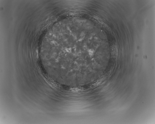 X0000076300703200610161554