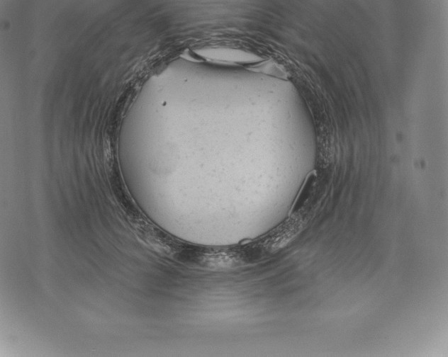 X0000076300704200610161554