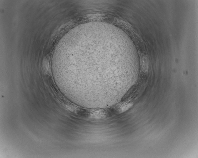 X0000076300705200610161554