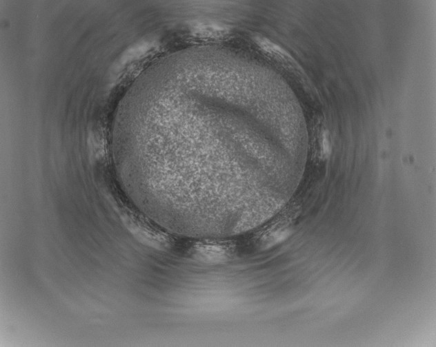 X0000076300706200610161554