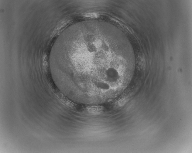 X0000076300707200610161554