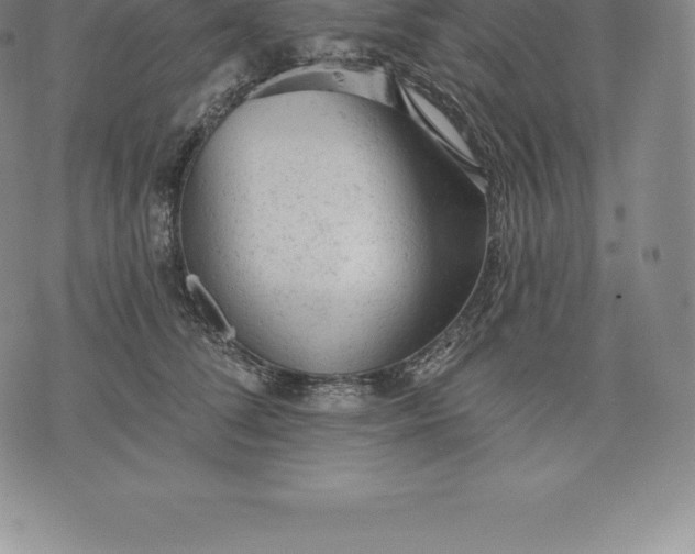 X0000076300708200610161554