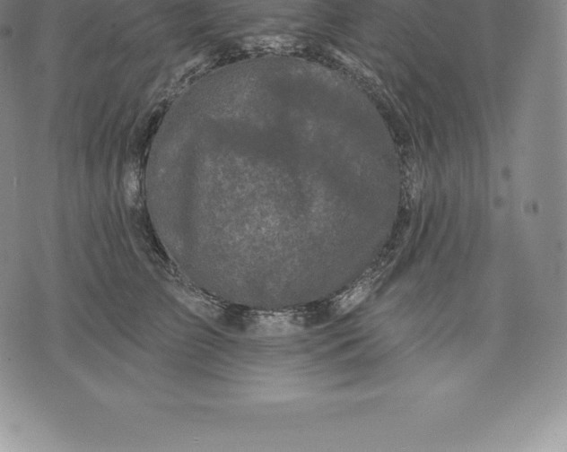 X0000076300709200610161553