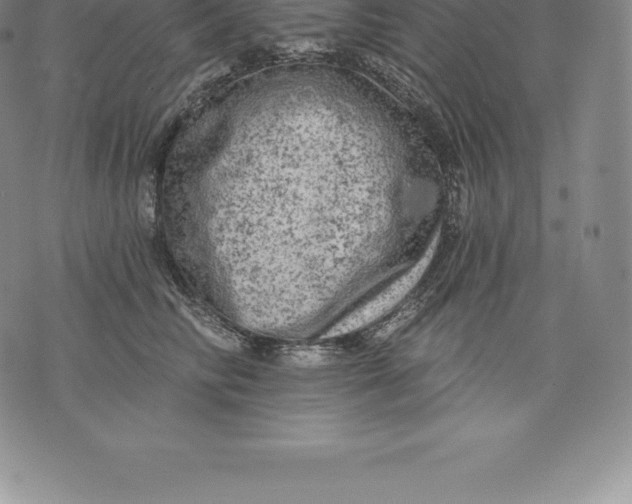 X0000076300710200610161553