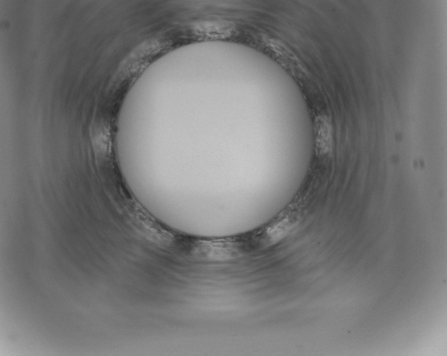 X0000076300713200610161553