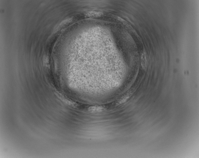 X0000076300714200610161553