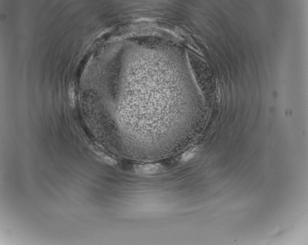 X0000076300716200610161553