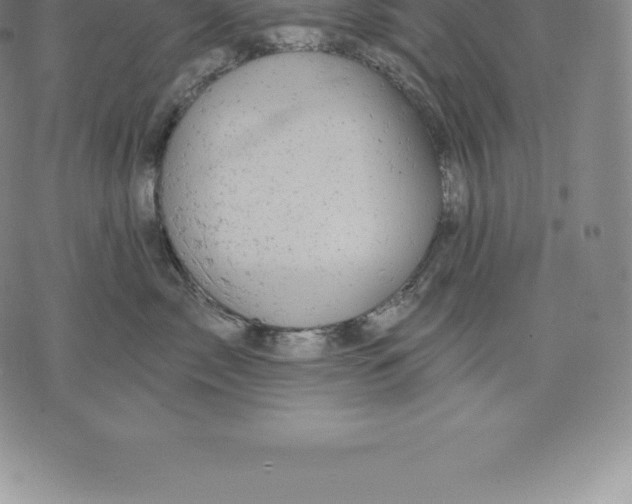 X0000076300717200610161553