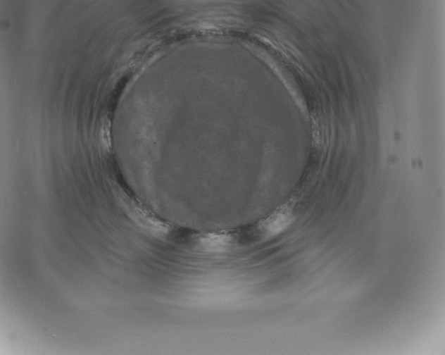 X0000076300718200610161553