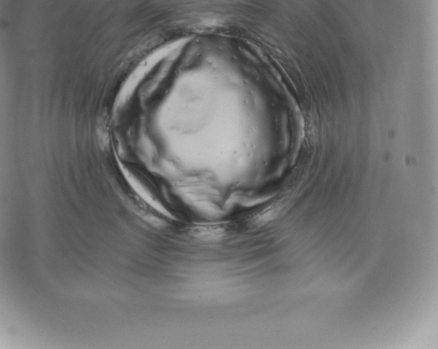 X0000076300719200610161553