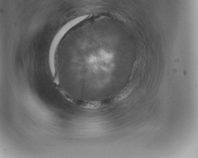 X0000076300720200610161553