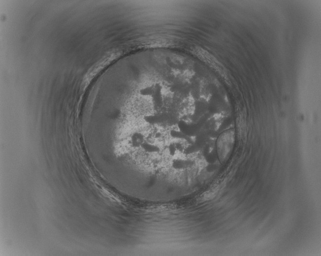 X0000076300721200610161553