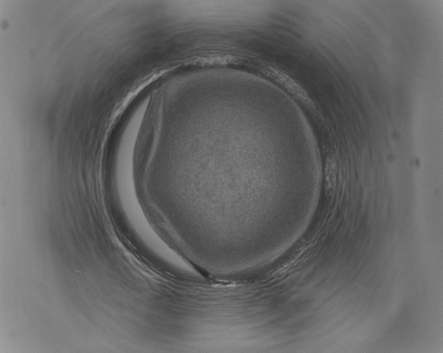 X0000076300722200610161553